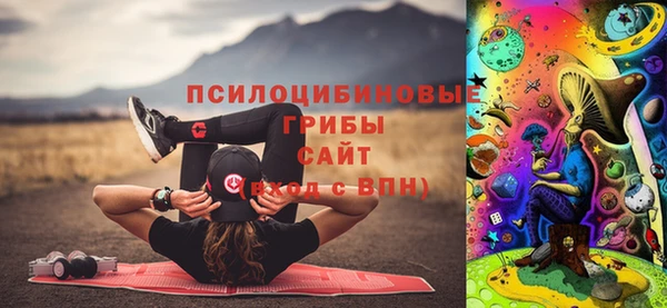 соль ск Алексин