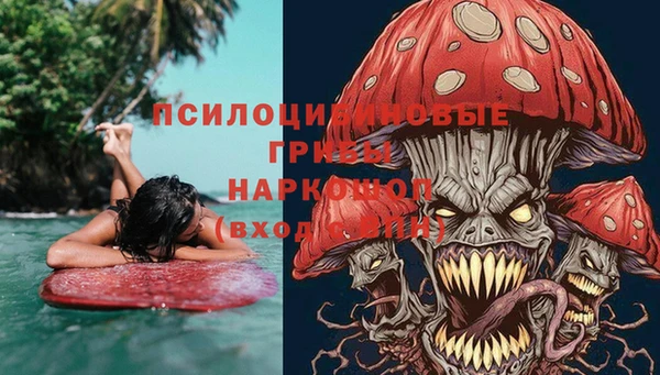 соль ск Алексин